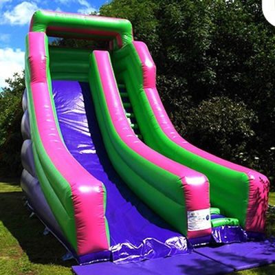 Grote opblaasbare droge glijbaan in aangepaste kleur voor commerciële gelegenheden in het waterpark