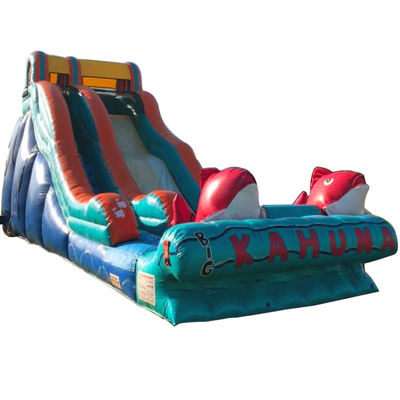 0.55mm PVC Tarpaulin Red Carp Theme opblaasbare waterglijbaan met brede glijbaan en glijbaan