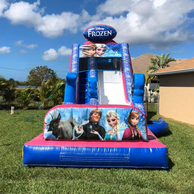 Maximale capaciteit 100-500 kg opblaasbare bevroren bounce house waterglijbaan met groot zwembad
