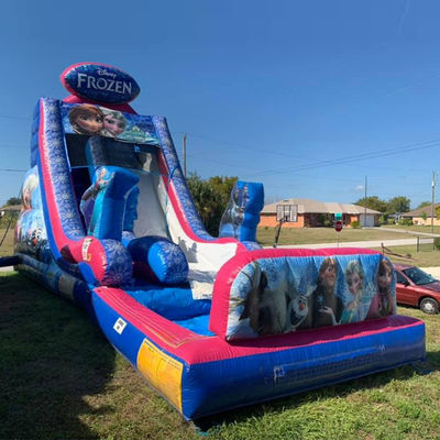 Maximale capaciteit 100-500 kg opblaasbare bevroren bounce house waterglijbaan met groot zwembad