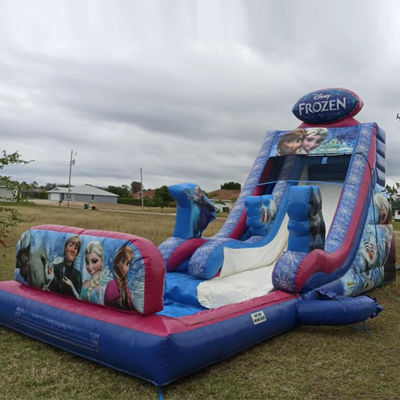 Maximale capaciteit 100-500 kg opblaasbare bevroren bounce house waterglijbaan met groot zwembad