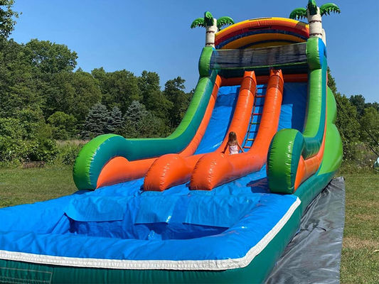 Maximale capaciteit 100-500 kg Dual Lane opblaasbaar waterpark met zwembad en palmbomen glijbaan