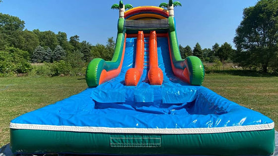 Maximale capaciteit 100-500 kg Dual Lane opblaasbaar waterpark met zwembad en palmbomen glijbaan