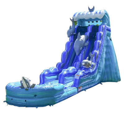 Afneembare zwembad opblaasbare glijbaan voor kinderen en volwassenen in het zomerwaterpark