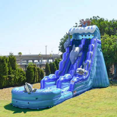 Afneembare zwembad opblaasbare glijbaan voor kinderen en volwassenen in het zomerwaterpark