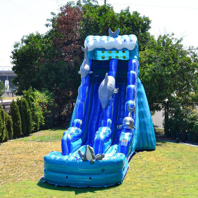Afneembare zwembad opblaasbare glijbaan voor kinderen en volwassenen in het zomerwaterpark