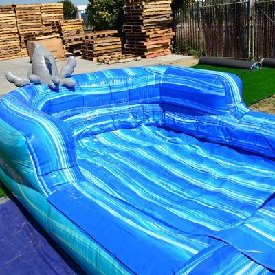 Afneembare zwembad opblaasbare glijbaan voor kinderen en volwassenen in het zomerwaterpark