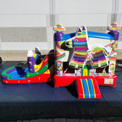 Draagbaar PVC regenboog puppy opblaasbaar springhuis met glijbaan combinatie zwembad jumpers kasteel