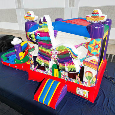 Draagbaar PVC regenboog puppy opblaasbaar springhuis met glijbaan combinatie zwembad jumpers kasteel