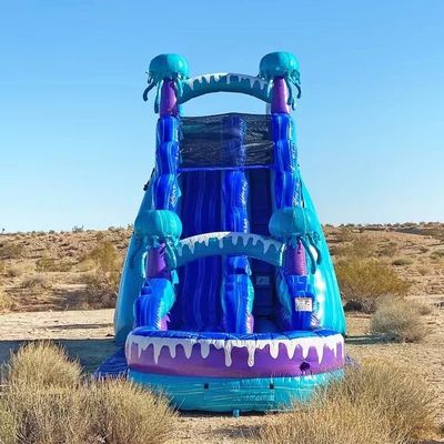 Buitenpark Vermaakapparatuur 36ft Kleurrijke opblaasbare waterslide met zwembad
