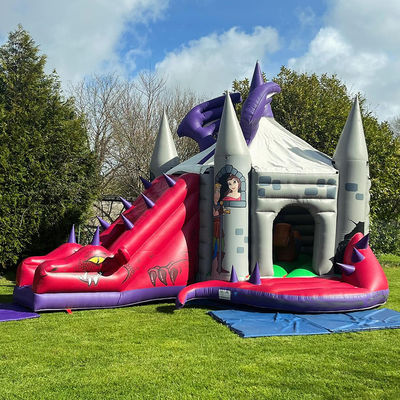 Red Dinosaur Bouncy Castle met glijbaan hoe je je draak kunt trainen opblaasbaar bounce huis