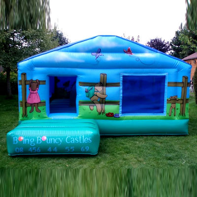 Commerciële kinderen picknick trampoline met blauwe opblaasbare springkasteel en balput