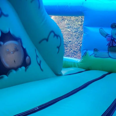 Commerciële kinderen picknick trampoline met blauwe opblaasbare springkasteel en balput
