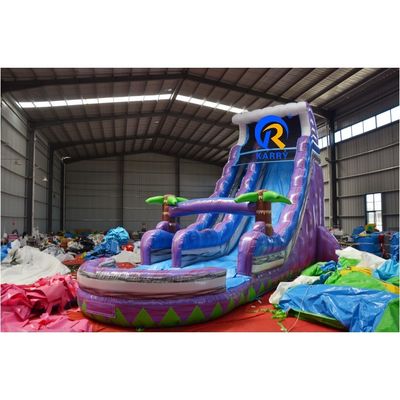 Persoonlijke kleurrijke PVC opblaasbare waterslide met zwembad voor zomerplezier