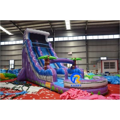 Persoonlijke kleurrijke PVC opblaasbare waterslide met zwembad voor zomerplezier