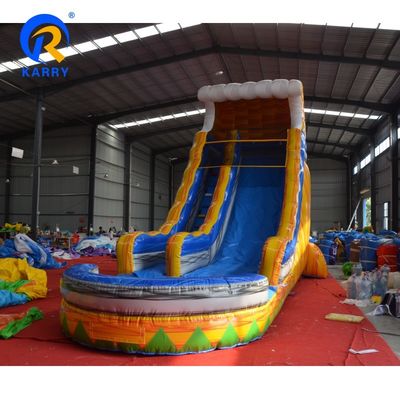 Persoonlijke kleurrijke PVC opblaasbare waterslide met zwembad voor zomerplezier