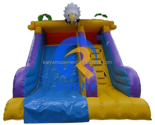 Unisex opblaasbare waterslide springhuis commercieel springhuis voor kinderen
