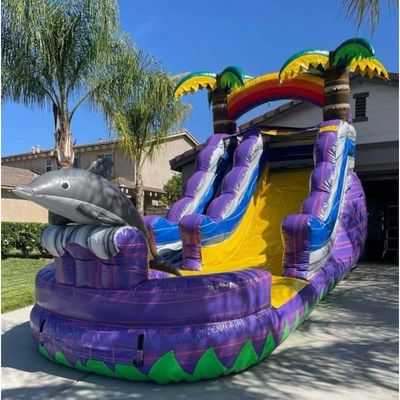 5-10 Passagiers PVC opblaasbare waterslide CE-normen Blower Groene palmboom met zwembad