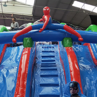 Persoonlijke grootte opblaasbare waterslider voor buitenvermaak en pretpark