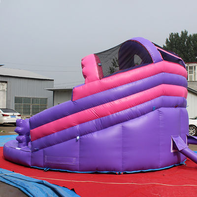 Unisex Residential opblaasbare cartoon lol natte/droge waterslide met zwembad en kasteel