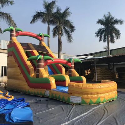 Buiten PVC opblaasbare waterglijbaan uitsmijter kasteel voor kinderen en volwassenen springhuis