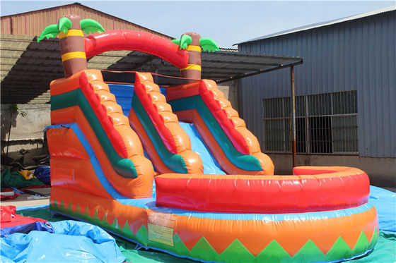 Indoor Double-layer versterkt PVC Palmboom opblaasbare Double Slide Waterglijbaan met zwembad voor kinderen en volwassenen