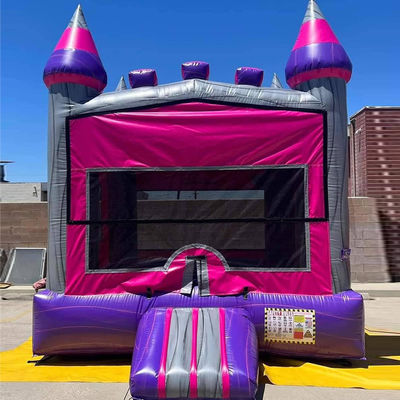 Functies Draagbaar Roze Kasteel Bouncy Jumping Commercieel Bounce House met Blower