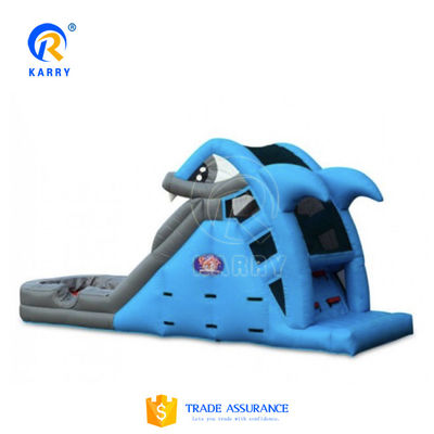 Indoor commercieel huren opblaasbare waterslide met zwembad in de zomer Pure Color Fun