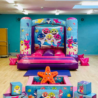 14 jaar op maat Mini opblaasbare trampoline kasteel met glijbaan aangepaste kleur