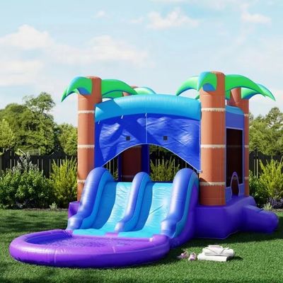 PVC opblaasbare waterslider met basketbalhoop voor kinderen en volwassenen