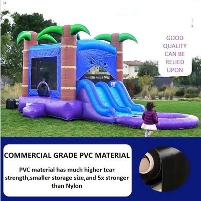 PVC opblaasbare waterslider met basketbalhoop voor kinderen en volwassenen