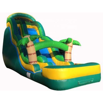 Glue Include Large Customized Inflatable Water Slide for Outdoor Water Park Equipment