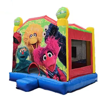 Buiten speeltuin opblaasbare uitsmijter 13x13 Sesamstraat Bouncy Castle voor kinderen
