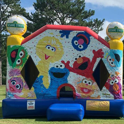 Buiten speeltuin opblaasbare uitsmijter 13x13 Sesamstraat Bouncy Castle voor kinderen