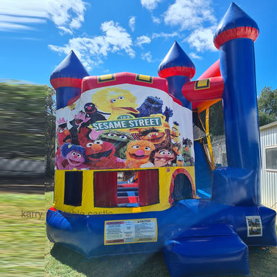 Buiten speeltuin opblaasbare uitsmijter 13x13 Sesamstraat Bouncy Castle voor kinderen