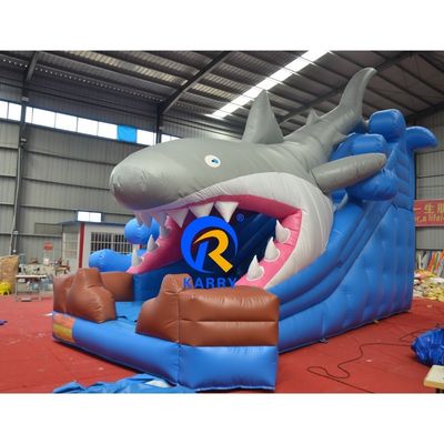 Gepersonaliseerde kleur nat/droog opblaasbaar gebouw met glij- en blaasapparaat Unisex outdoor fun