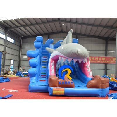Gepersonaliseerde kleur nat/droog opblaasbaar gebouw met glij- en blaasapparaat Unisex outdoor fun