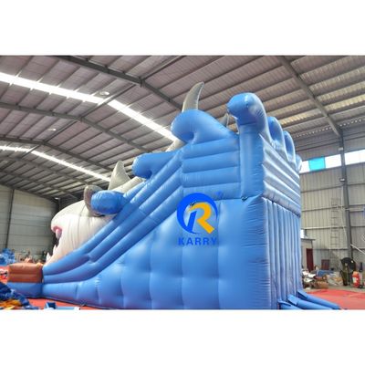 Gepersonaliseerde kleur nat/droog opblaasbaar gebouw met glij- en blaasapparaat Unisex outdoor fun