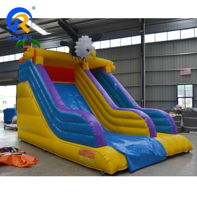 Maximale capaciteit 100-500 kg Mini Little Angry Eagle opblaasbare waterslide voor zomerplezier