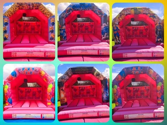 Essentiële kinderen springkasteel met glijbaan en opblaasbaar ontwerp