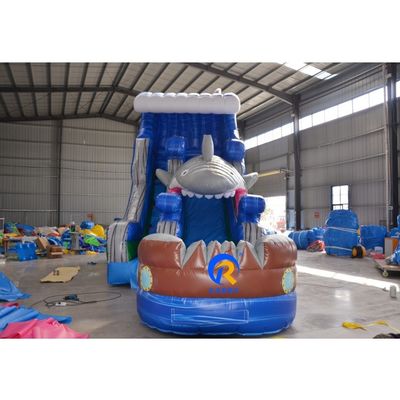 Maximale capaciteit 100-500 kg Warm opblaasbare droge glijbaan voor kinderen en volwassenen Big Shark Design