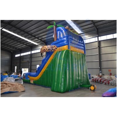 Commerciële gelegenheden PVC lucht gevulde achtertuin opblaasbare waterslide met zwembad