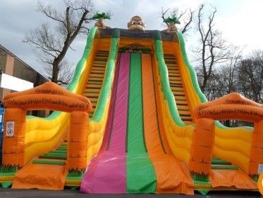 Bringbringlight Slide Custom materiaal natte en droge opblaasbare waterglijbanen voor evenement