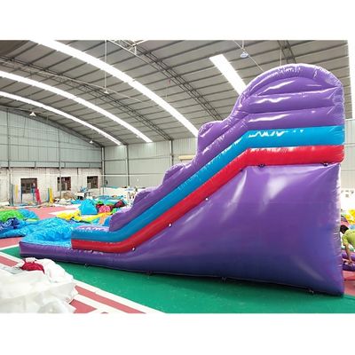Outdoor Entertainment Op maat gemaakte opblaasbare springkasteelslide voor entertainment