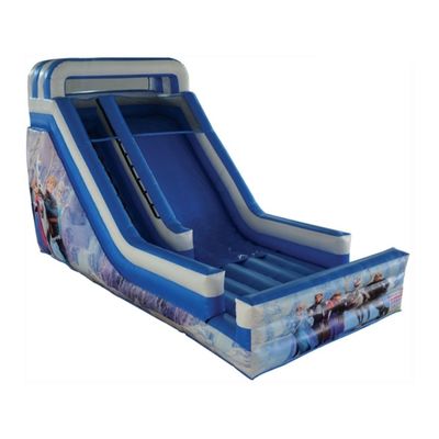Outdoor Entertainment Op maat gemaakte opblaasbare springkasteelslide voor entertainment