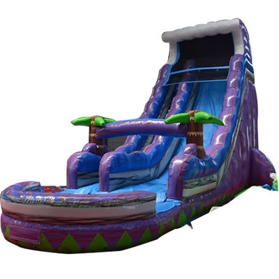 2023 Promotie Steile aardverschuiving Magic Palm Tree Water Purple Slide Opblaasbare met zwembad
