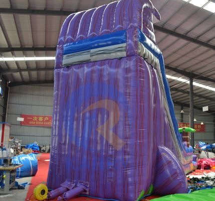 2023 Promotie Steile aardverschuiving Magic Palm Tree Water Purple Slide Opblaasbare met zwembad