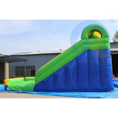 Attract CE EN14960 Certified Leopard Print Arch opblaasbare waterslippen met zwembad