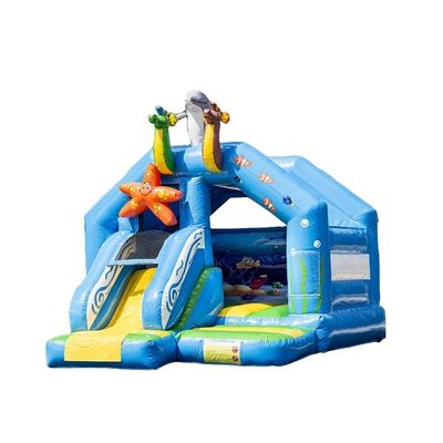 Draagbare opblaasbare bounce house met kleine glijbaan