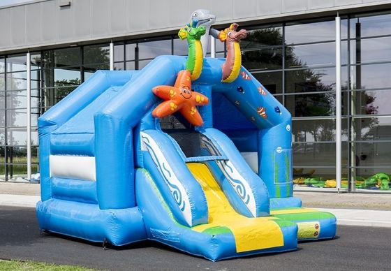Draagbare opblaasbare bounce house met kleine glijbaan